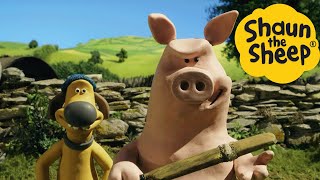 Shaun the Sheep 🐑 Pig Chaos  Cartoons for Kids 🐑 Full Episodes Compilation 1 hour [upl. by Ilrak]