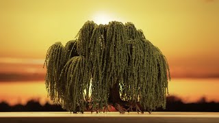 Make this DIY Weeping Willow Tree for JawDropping Terrain [upl. by Thema]