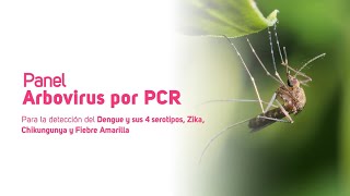 Panel Arbovirus por PCR [upl. by Florine]