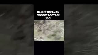 Bigfoot footage from Harley Hoffman circa 2001 [upl. by Ingar]