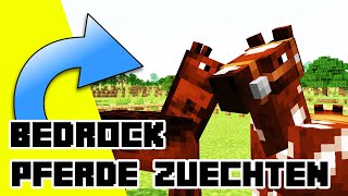 Minecraft Pferd zähmen  Pferde schnell zähmen und vermehren [upl. by Eehtomit]