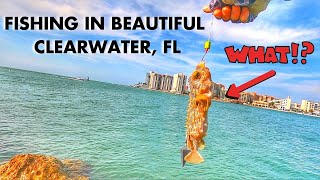 Jetty Fishing and Pier Fishing in CLEARWATER Florida Pompano Catch Clean Cook [upl. by Meadows969]