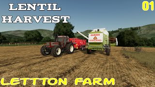 Lentil harvest on Letton  Letton Farm Episode 1  Farming Simulator 22 [upl. by Burrton55]