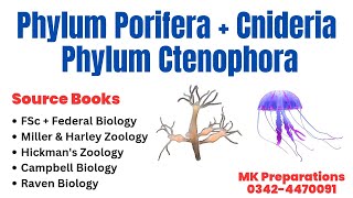 Phylum Porifera Phylum Cnideria amp Ctenophora Characteristics amp Classification  Kingdom Animalia [upl. by Sasnett63]