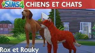 CRÉATION ROX ET ROUKY  LES SIMS 4 CHIENS ET CHATS [upl. by Childers]