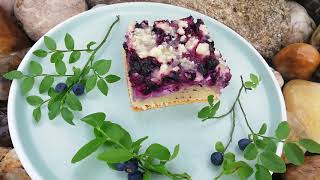 Borůvkový koláč s tvarohem 🌲🌱🌿🍇🧁 ingredience pod videem 👇  Jana C [upl. by Acirdna]