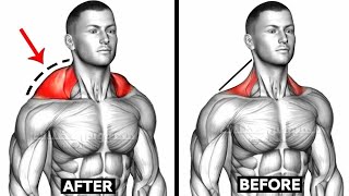 15 Best Exercises Trapezius Workout [upl. by Shellie]