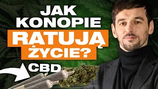 MARIHUANA i CBD  jak działa Właściwości zdrowotne i wpływ na zdrowie  Przygody Przedsiębiorców [upl. by Jara760]