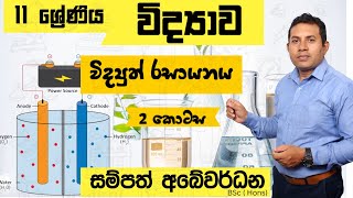 11 ශ්‍රේණිය විද්‍යාව  විද්‍යුත් රසායනය  Part 2  20241008 [upl. by Dublin]