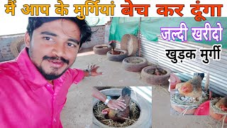 Desi Murgi Ko Ya Chujo Ko My Acchi daam Me Sale Karke Dunga poultry [upl. by Nuawd]