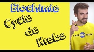 Cours de biochimie cycle de Krebs [upl. by Vikki36]