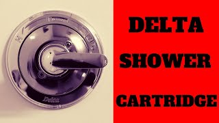 How To Replace A Delta Shower Cartridge  Do It Yourself [upl. by Niassuh805]