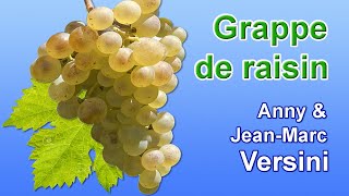 Anny Versini JeanMarc Versini  Grappe de raisin Clip officiel [upl. by Thaine701]