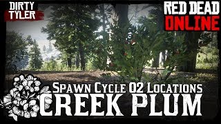 Creek Plum Locations Red Dead Online Collectors Item RDR2 Spawn Cycle 2 [upl. by Rafael]