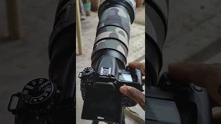 Nikon D7500 Continuous Low Shutter nikon camera ytshort ytshortsindia [upl. by Eicnarf]