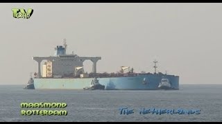 Maasgeul Rotterdam Maersk Sonia Crude oil tanker [upl. by Sheline386]