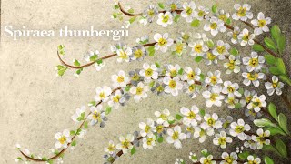 Spiraea thunbergii painting in acrylic and oil pastel  white [upl. by Nicholl958]