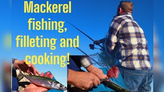 Mackerel Fishing Filleting amp Cooking In Cornwall [upl. by Akinyt375]