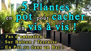 5 Plantes à Mettre en Bac comme Brise Vue  sur balconterrasse [upl. by Eynttirb]