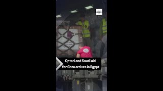 Qatari and Saudi aid for Gaza arrives in Egypt [upl. by Micki]