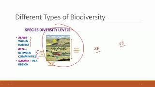 Alpha Beta Gamma Biodiversity [upl. by Harwilll]