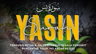 SURAH YASIN FULL TANPA IKLAN AL QURAN PENGANTAR TIDUR BIKIN HATI TENANG [upl. by Aracat]