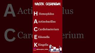 Causative organism of endocarditis  organism  general surgery  microbiology mbbs bds medico [upl. by Kliber]