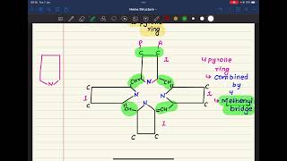 21 PORPHYRIN 🌼 Complete Concept HAEMATOLOGY BIOCHEMISTRY 🌸 [upl. by Siradal967]