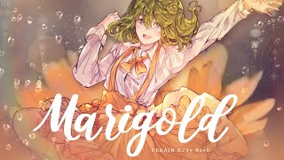 M2U  Marigold  Cover [upl. by Ivor]