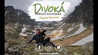 Trailer Divoká príroda Slovenska s Nigelom Marvenom [upl. by Garceau405]