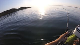 SUNRISE LIVE BUNKER pogie FISHING  STRIPED BASS [upl. by Joleen416]