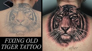 ReWorking Old Tiger Tattoo  Fixing Old Tattoo [upl. by Licht]