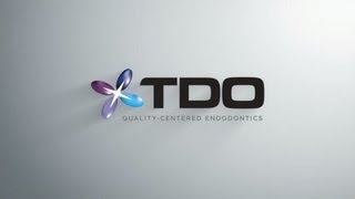 TDO Endodontic Practice Management Software [upl. by Hirsch450]