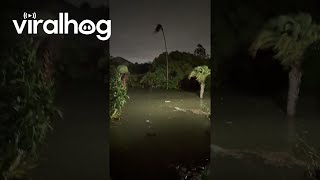 Hurricane Helene Floods Homes in Clearwater Florida  ViralHog [upl. by Socram338]