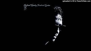 Richard Hawley  Dont You Cry Unofficial Instrumental [upl. by Llemar219]