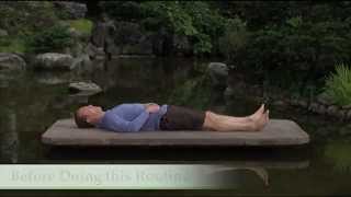 Qi Gong for Deep Sleep Bonus Segment [upl. by Reyem]