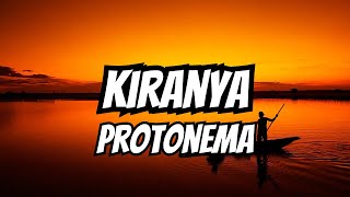 Lirik Lagu Kiranya  Protonema [upl. by Rutra]