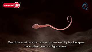 Male Infertility  Fertility Expert explain cause and treatment Dr Mangala Devi 3D Animation 2023 [upl. by Curnin]