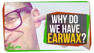 Why do we Have Earwax [upl. by Levram250]