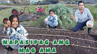 Napasipag ang mag AMA sa pagtatanim ng ONIONS at POTATOES [upl. by Lehte664]