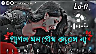 Pagol Mon Lofi  পাগল মন সব করিস প্রেম করিস না  SlowedReverb Bangla Songs Lofi 🥀 [upl. by Sirret]