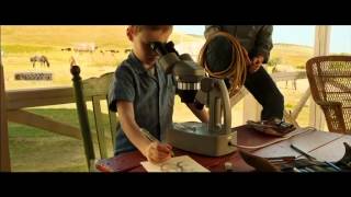 The Young and Prodigious TS Spivet 3D Trailer [upl. by Kcirddec965]