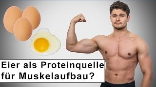 Eier die beste Proteinquelle für den Muskelaufbau [upl. by Elyssa]