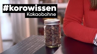 korowissen  Kakaobohne [upl. by Aldas]