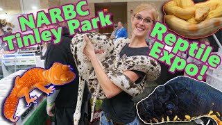 Attending a HUGE Reptile Show Tinley NARBC October 2019 [upl. by Barrett]