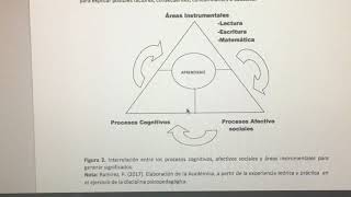 Síntesis Diagnóstica en el Reporte de Investigación Evaluativa Psicopedagógica [upl. by Enivid]