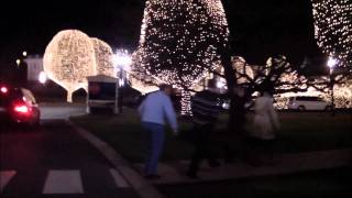 Gaylord Opryland Hotel Christmas 2011 Nashville TN [upl. by Saville]