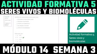 Actividad formativa 5 Seres vivos y biomoléculas Módulo 14 Semana 3 Respuestas [upl. by Pettiford]