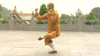 Shaolin Kung Fu Combat Styles 15 small Buddha form 小罗汉拳 xiao luohan quan [upl. by Darleen716]