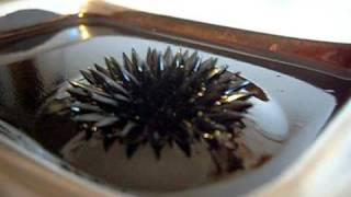 Homemade ferrofluid 2 [upl. by Fihsak]